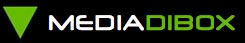 pubblicita online